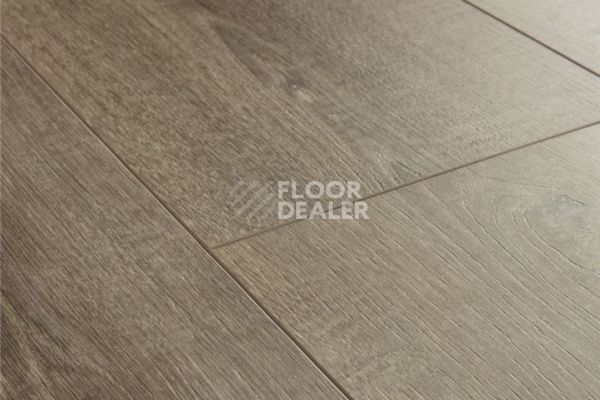 Плитка ПВХ Quick Step Livyn Balance Click Plus BACP BACP40160  Дуб бархатный коричневый фото 1 | FLOORDEALER